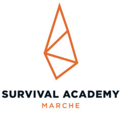 survivalacademymarche.it